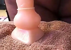 Toying with speculums two