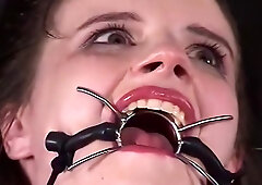 Insex - Az Live Feed