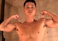 Chinese Teddies KERO247