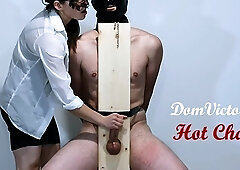 I Put My Pet In A Hot Chair And Teased Him Merciless