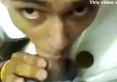 Toilet Cocks Suck Gay