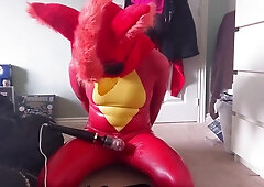 Love Glove Bird Blinded, Jerked and Overstimulated