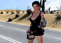 HERMAPHRODITISM plowing her chicks