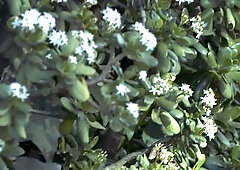 Drill My Hole: Hard nailining next to hairy hunk Casey Jacks