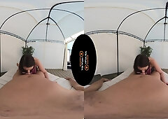 Sex on the Rooftop