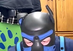 Pup Slams Tail, Plays with plaything schlong, Spunks fellate and luvs.