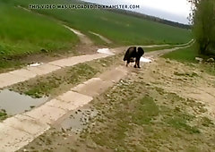 bizarre life - outdoors