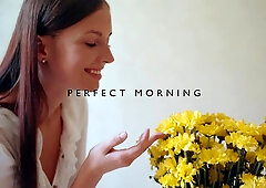 Perfect Morning - Taylor - MetartX
