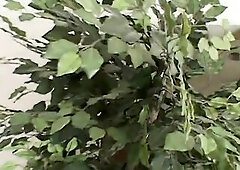 Slim blond teen oral sex twat screw, analingus