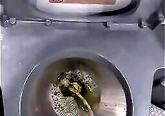 Big cock shemale jerking in a bus