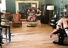 See those experienced subs get thonged down and moist in golden showers by aged mistresses, their holes teased and filled in this immodest S&M ses