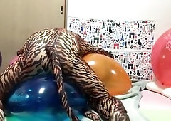 cat humping on balloon