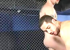 Falcon Studios: Scarborough Secrets