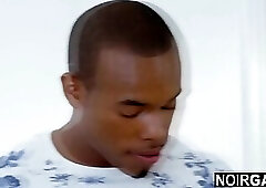 White & black gay roommates fight then fuck