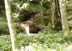 Sex With A Sthis guymale In Tthis guy Forest