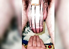 Month 2, denied by everybody on pornhub, please let me cum Miss AllieNicoleXXX ????????????????!!!