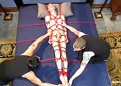 20 year old with an enormous cock, begging to cum