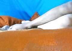 Mia Khalifa And Sunny Leone - Position मलई मलई दएक पतम लवमम लवमम New Nepali Porn 2023 Nepalikanda0