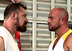 Parent Grizzly Confesses Pecker is Too Massive for Wifey