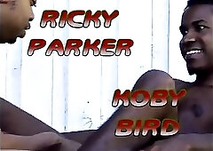 Black Pornstars Fucking In Public