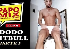 Stripper, dodo-pitbull, show-boys