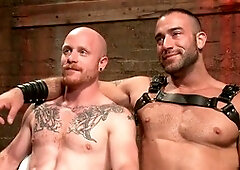 In english, limit, bareback domination