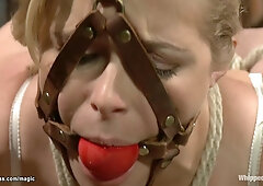 Big tits lezdoms anal sex blond