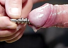 Lil Will - Closeup Ribbed Stainless Sounding