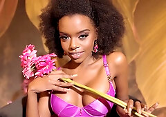 Intimate Tales - PlayboyTV