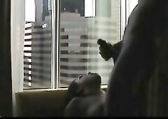 Bull screwing interracial Girly at Hotel Window, amateur