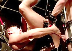 Lads, hd videos, swingers