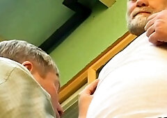 Hd videos, busy, bear blow