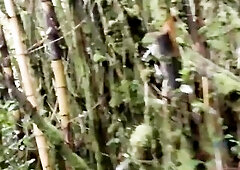 ATK Girlfriends - A rainy day voyage to the falls ends with a car climax. (Alex Blake)