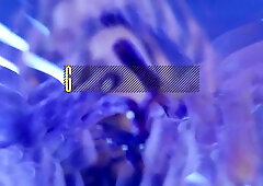 BRAZZERS - Hawt Kate Dalia Wears Her Sex Collar & Lets Excited Keiran Lee Do Whatsoever That Guy Desires To Her