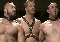 Van Darkholme Jason Miller Alessio Romero Jeremy Stevens T