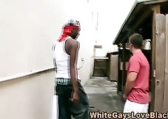 Horny thug sucks white dick