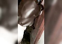 Cute Redhead Trans Angel – Public Boiler Room Anal Scene (Part two)