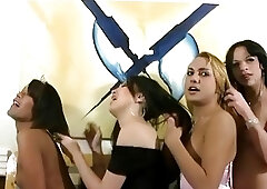 Four tgirls in wild shecock sucking and fucking