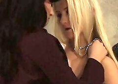 Disappeared On Arrival two: Leg Humping Mastix And servant On The Leash