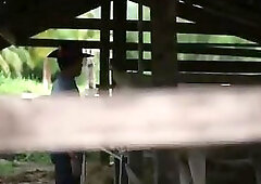 Brokeback mountain da thailandia