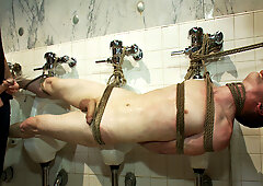 I'm a whore... I need cock, cum, piss and pain, Sir.