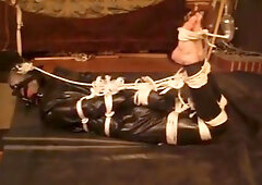 dovbond hogtied latex three