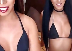 Nasty shemales with big dicks have a dick sucking party