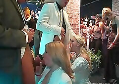 Drunk Sex Orgy - Bride Bang [2008].mkv