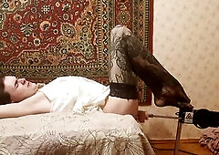 Crossdresser screw machine butt stretched