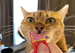 A comes up to me during the time that I'm exercising on my aerobike  ... 