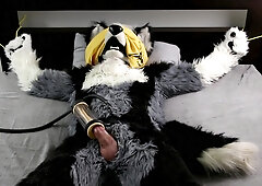 Wolfang and the Tugging Machine (part two)