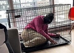 Lord Goddess Maria - Introducing The Slave To Its Cage