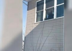 Public Masturbation: hot lascivious mother I'd like to fuck gets caught by neighbors masturbating in window with large sex-toy.