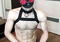 rear end love rock hard fuckfest with fucktoy